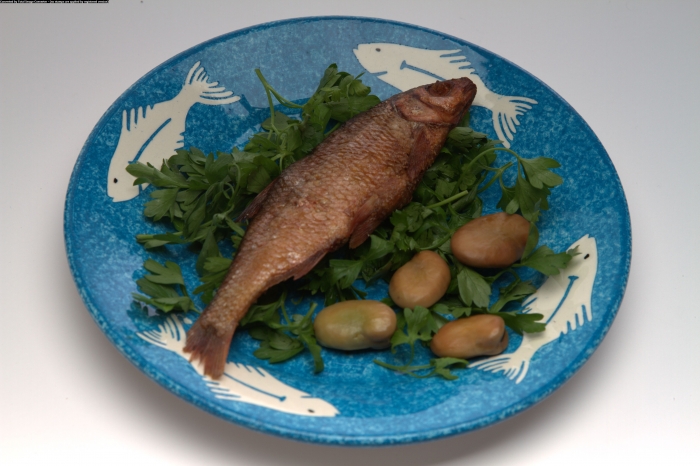 دوغ خانواده